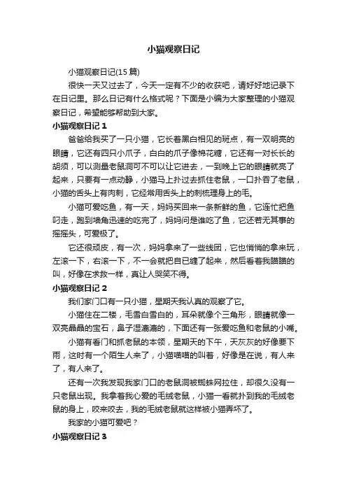 小猫观察日记