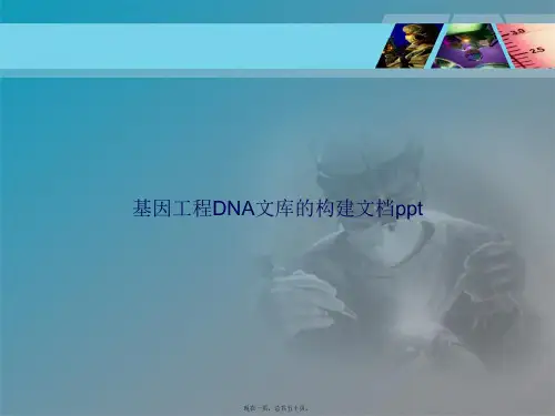 基因工程DNA文库的构建讲课文档