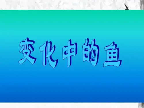 初中数学人教版  八年级上册  变化的鱼2 人教版