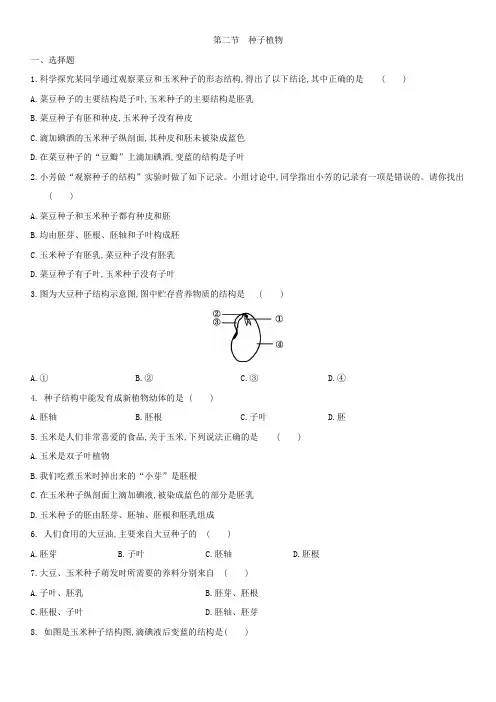 人教版生物七年级上册第一章第二节第1课时 种子的结构 练习题(解析版)