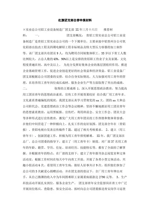红旗团支部自荐申报材料