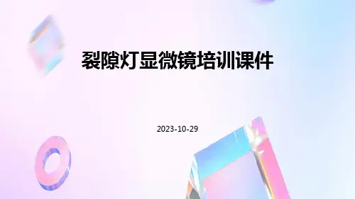裂隙灯显微镜培训课件