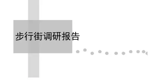步行街调研报告-文档资料22页