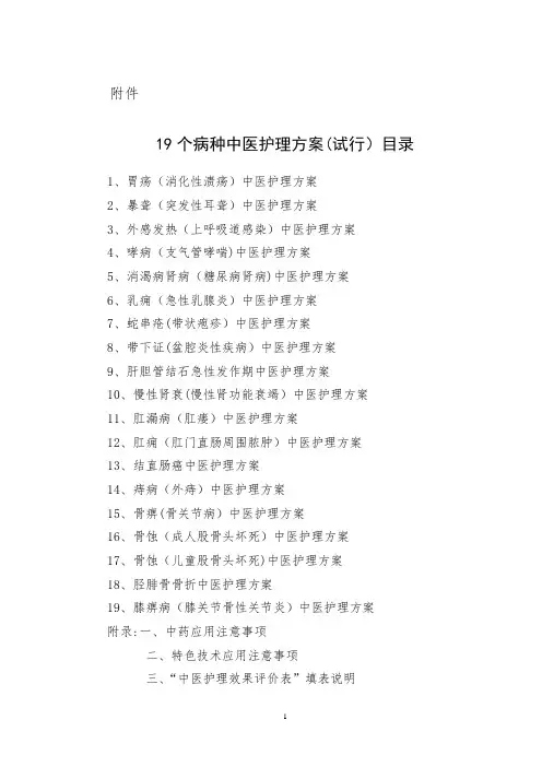 19个中医护理方案