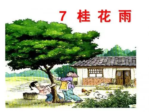 (修改)语文五年级上册第七课《桂花雨》