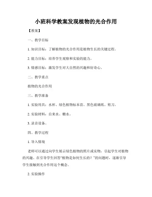 小班科学教案发现植物的光合作用