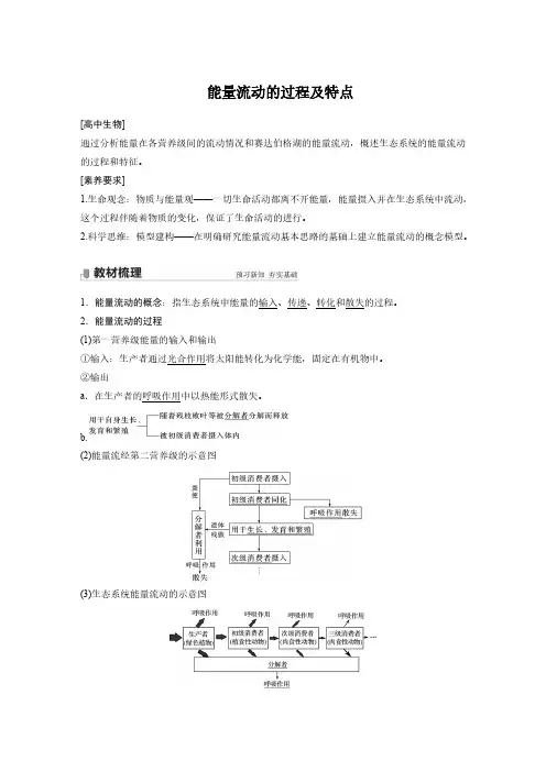 生物-能量流动的过程及特点