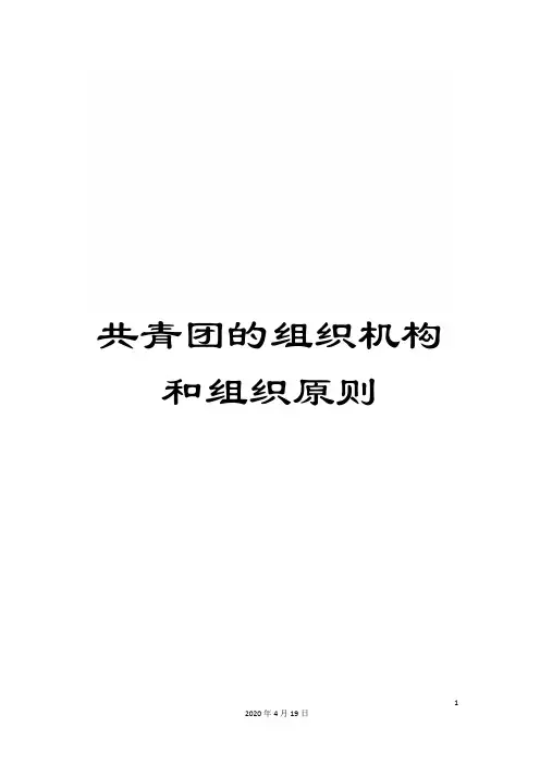 共青团的组织机构和组织原则
