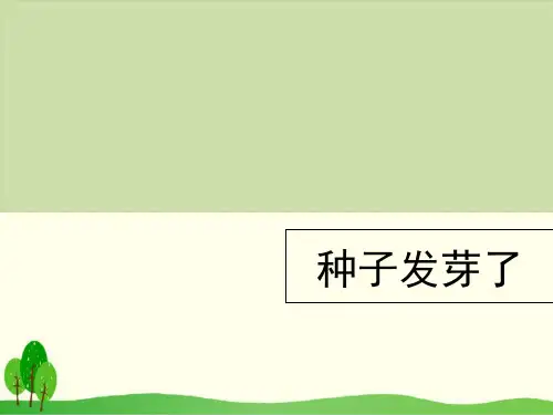 小学科学(粤教版)《专题探究：种子发芽了》课件-PPT1