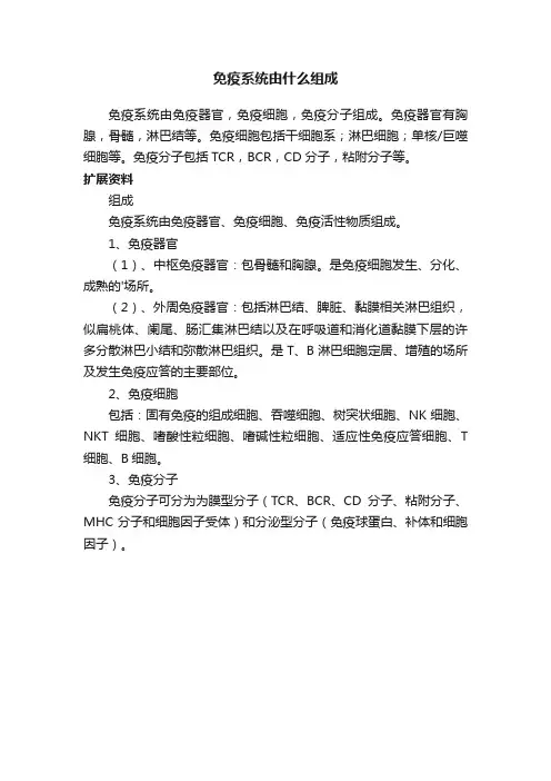 免疫系统由什么组成