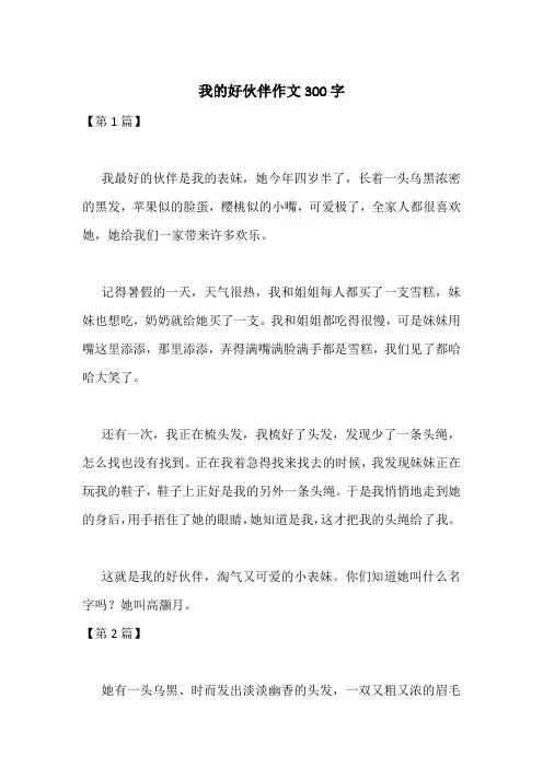 我的好伙伴作文300字