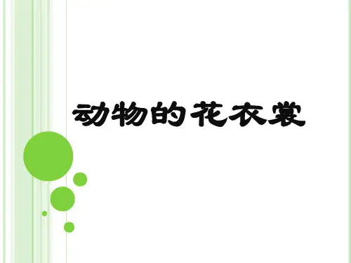 一年级下册美术第11课动物的花衣裳岭南版 (22)