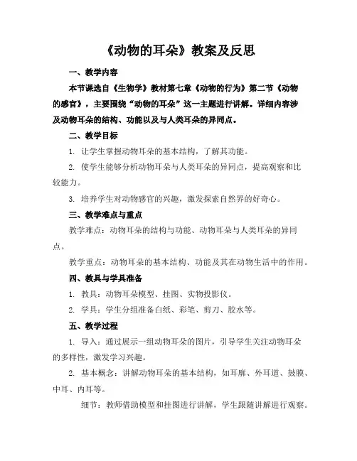 《动物的耳朵》教案及反思