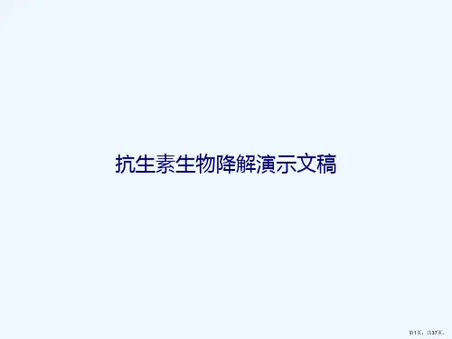 抗生素生物降解演示文稿