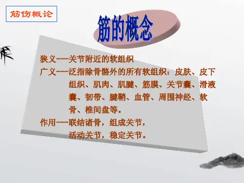 5.3.112筋伤概论