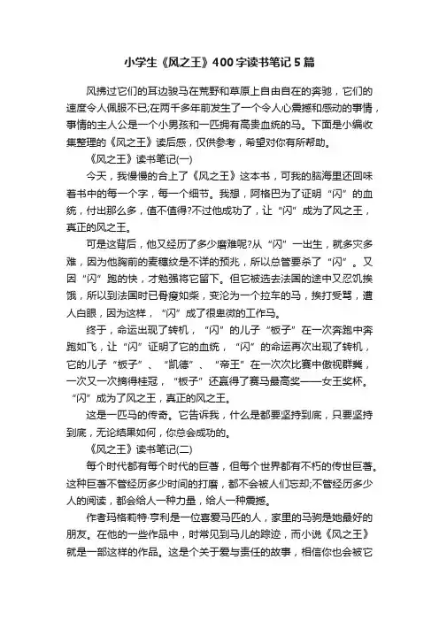 小学生《风之王》400字读书笔记5篇