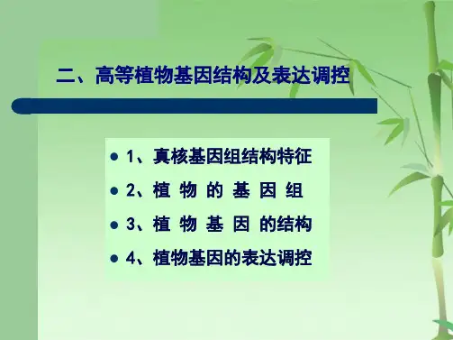 高级植物生理学第一章 植物生理与分子生物学(共111张PPT)