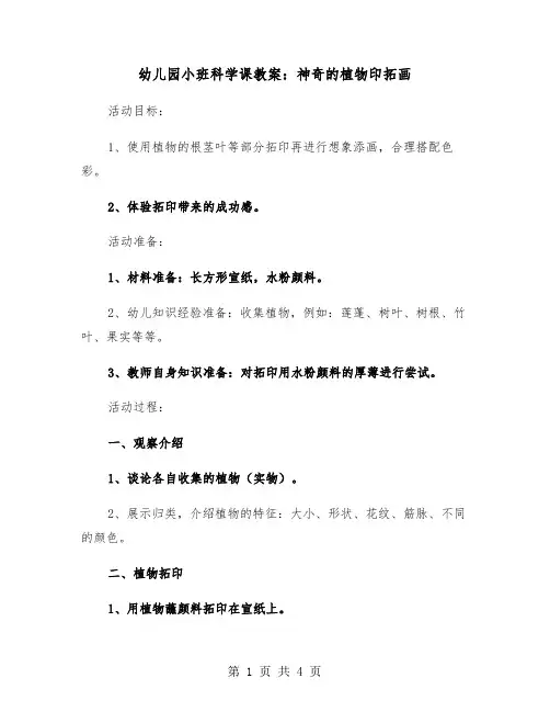 幼儿园小班科学课教案：神奇的植物印拓画（2篇）