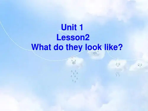 北师大初中英语七上《Unit 1 Family》PPT课件Lesson 2 What Do They Look Like6