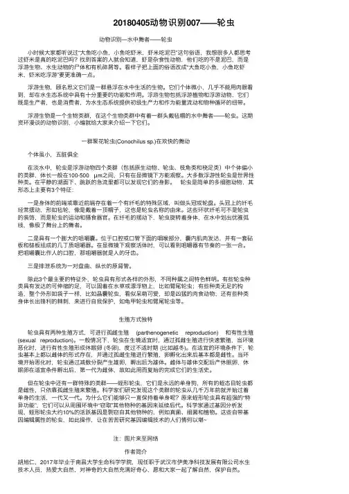 20180405动物识别007——轮虫