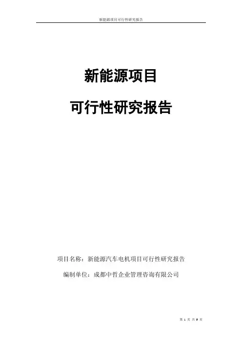 新能源项目可行性研究报告【范本模板】