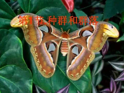 七年级科学种群和群落