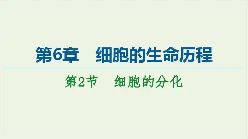 2021年新教材高中生物第6章细胞的生命历程第2节细胞的分化课件人教版必修1.ppt