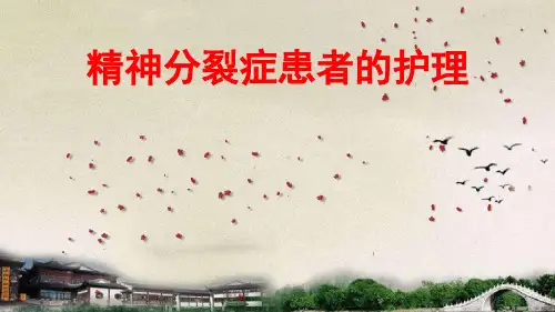 精神分裂症患者的护理ppt课件