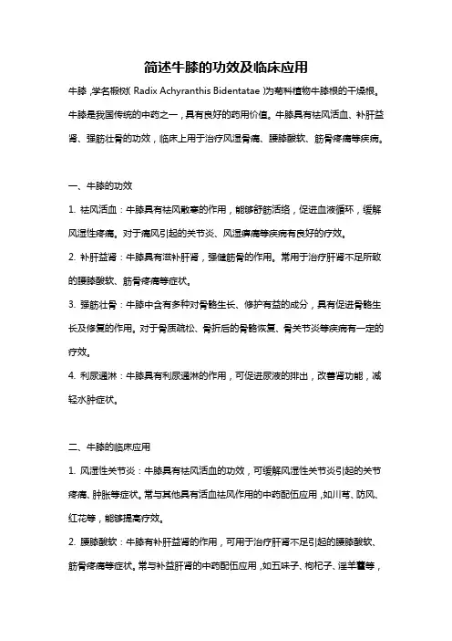 简述牛膝的功效及临床应用