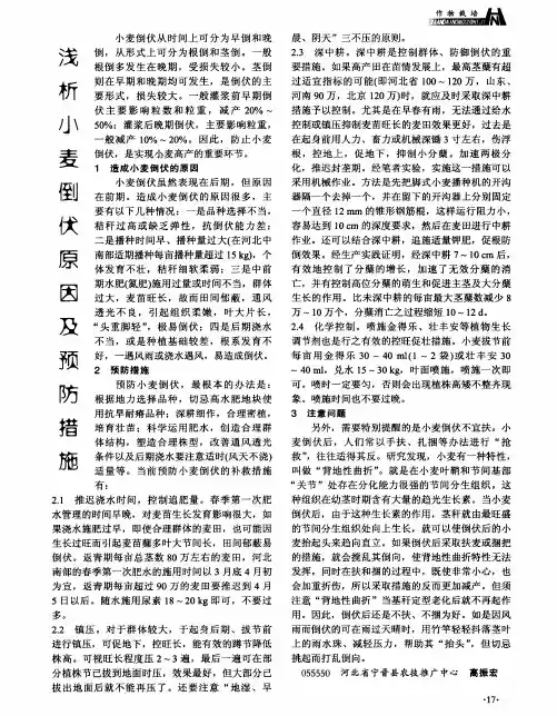 浅析小麦倒伏原因及预防措施