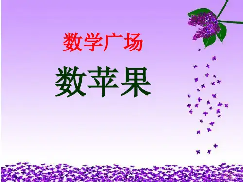 三年级下册数学课件整理与提高数学广场(数苹果)沪教版(共13张PPT)