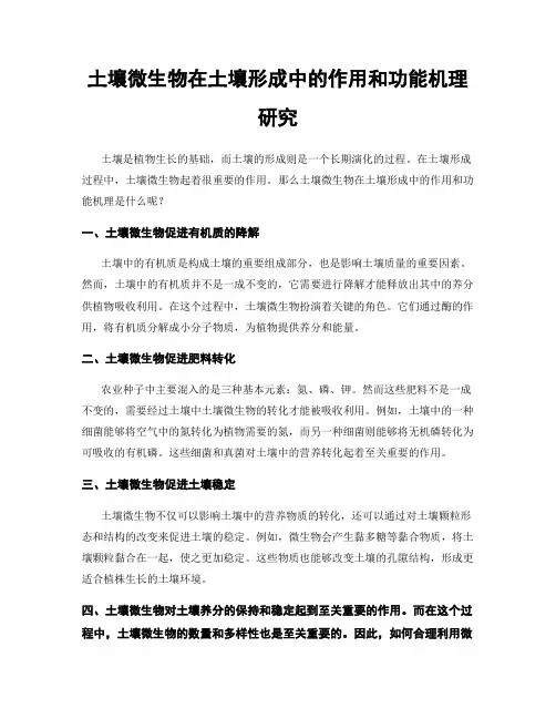 土壤微生物在土壤形成中的作用和功能机理研究