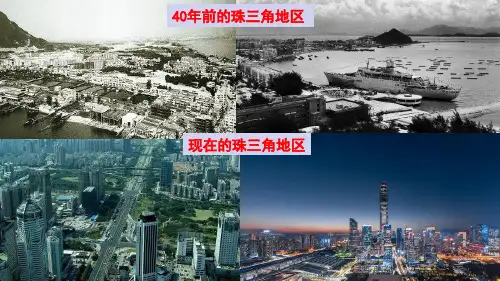 珠江三角洲和香港、澳门特区 课件