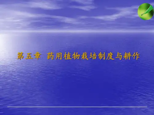 第五章药用植物耕作栽培与田间管理.pptx