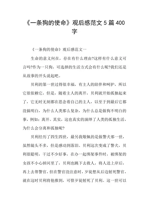 《一条狗的使命》观后感范文5篇400字
