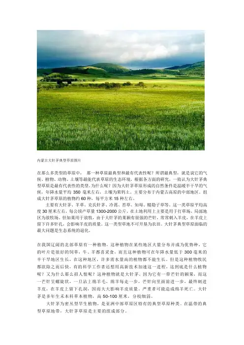 内蒙古大针茅典型草原图片