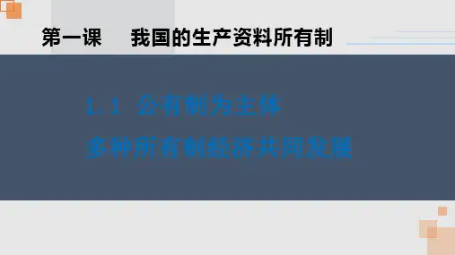 公有制为主体 多种所有制经济共同发展(共23张PPT)课件-(2024年)高中政治必修二经济与社会