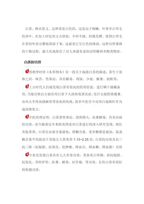 营养学院：白茶的功效与作用