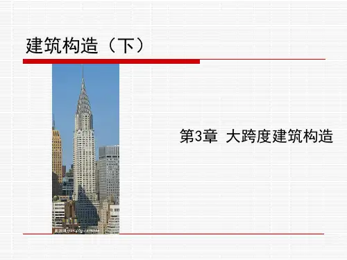 11大跨度建筑的屋顶构造