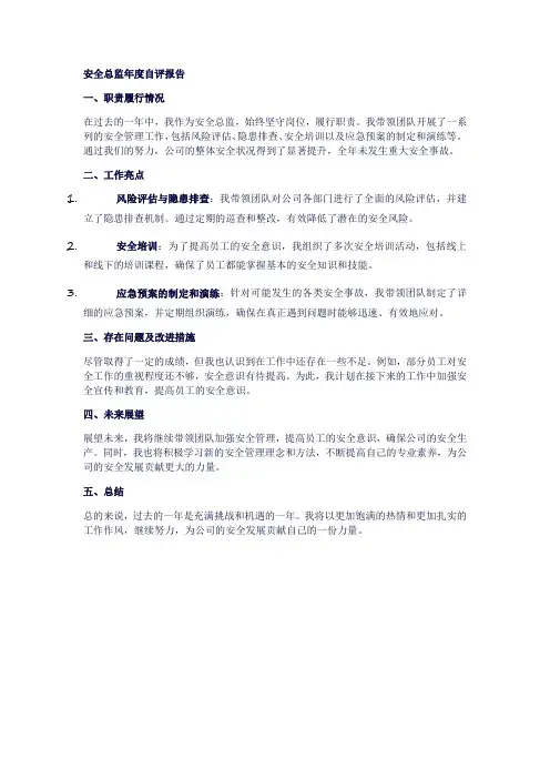 安全总监年度自评报告范文