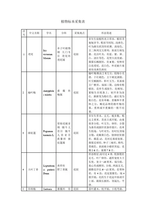 植物标本采集表