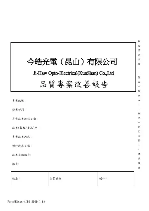 专案改善报告