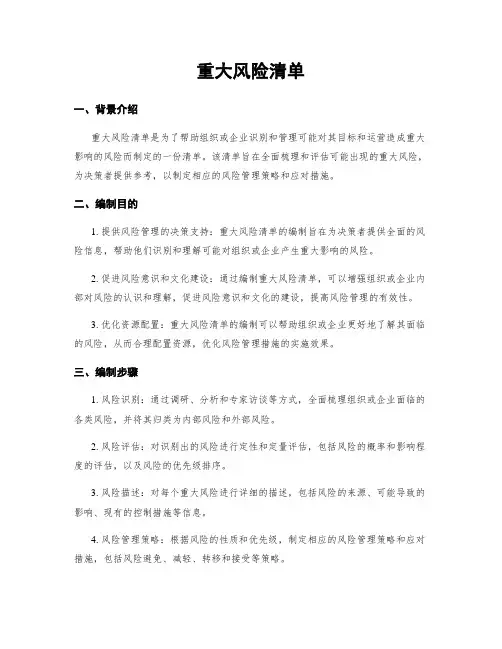 重大风险清单