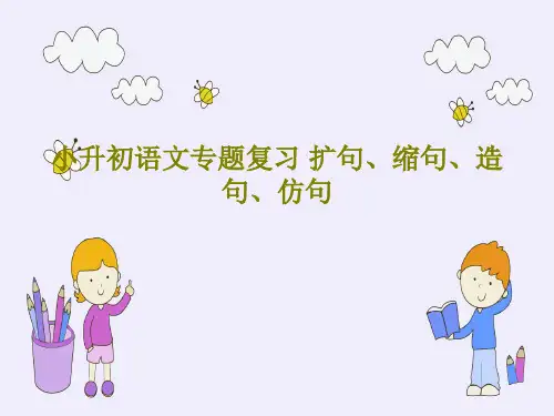 小升初语文专题复习 扩句、缩句、造句、仿句共22页PPT