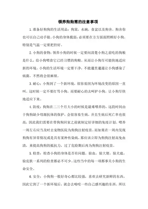 领养狗狗需的注意事项
