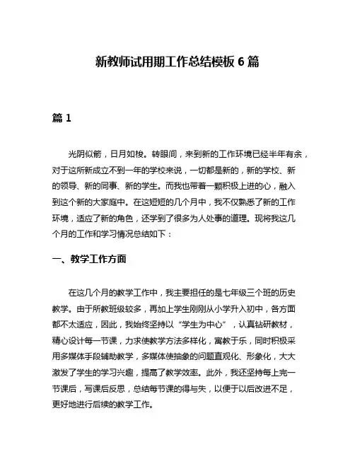 新教师试用期工作总结模板6篇