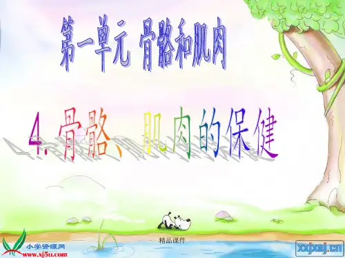 新苏教版四年级下册科学《骨骼肌肉的保健》