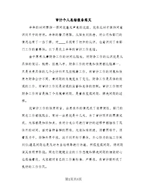 审计个人总结报告范文（2篇）