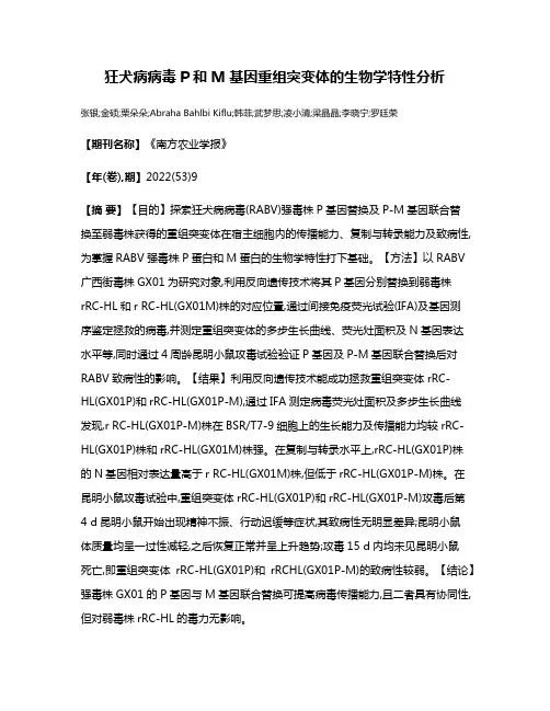 狂犬病病毒P和M基因重组突变体的生物学特性分析