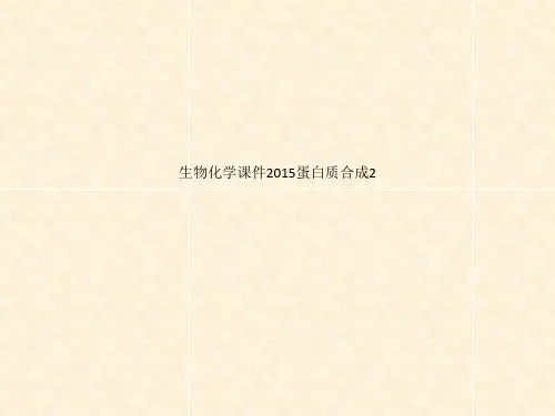 生物化学课件2015蛋白质合成2